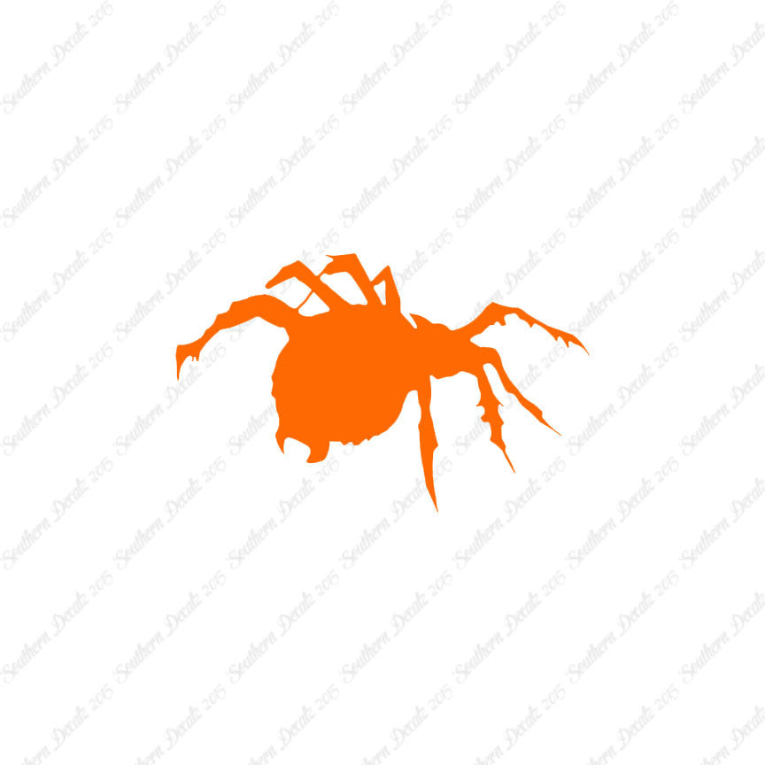 Tarantula Spider