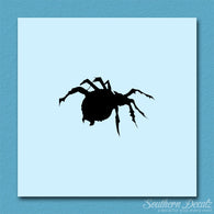 Tarantula Spider