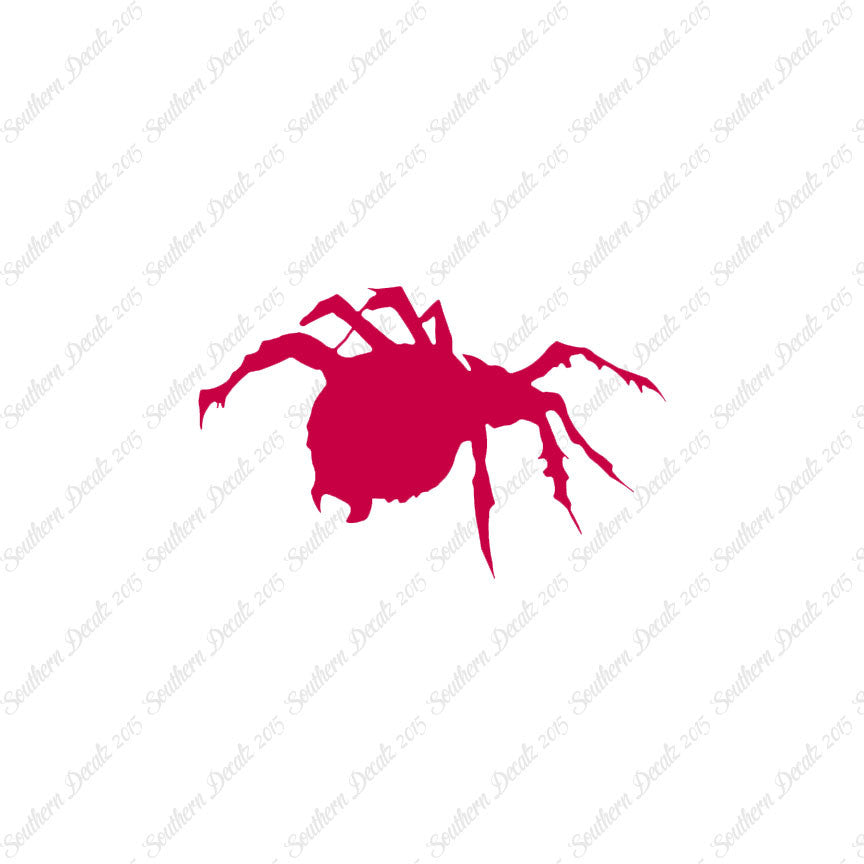 Tarantula Spider
