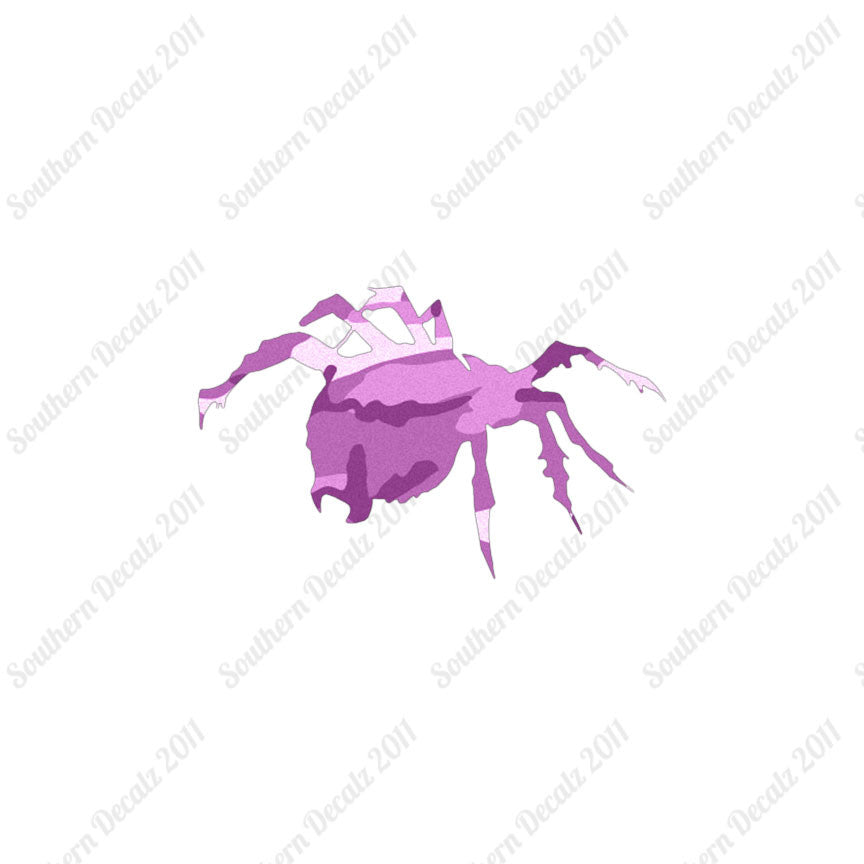 Tarantula Spider