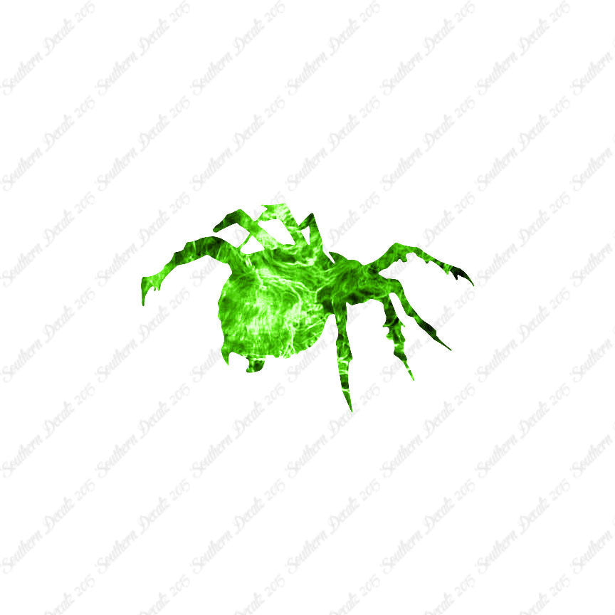 Tarantula Spider