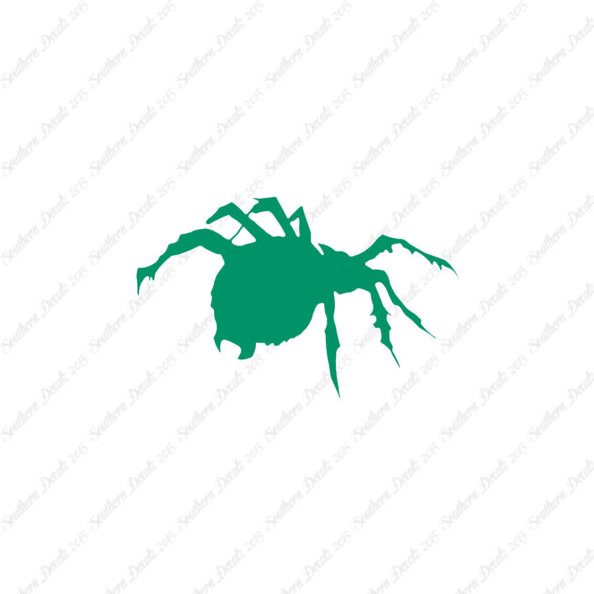 Tarantula Spider