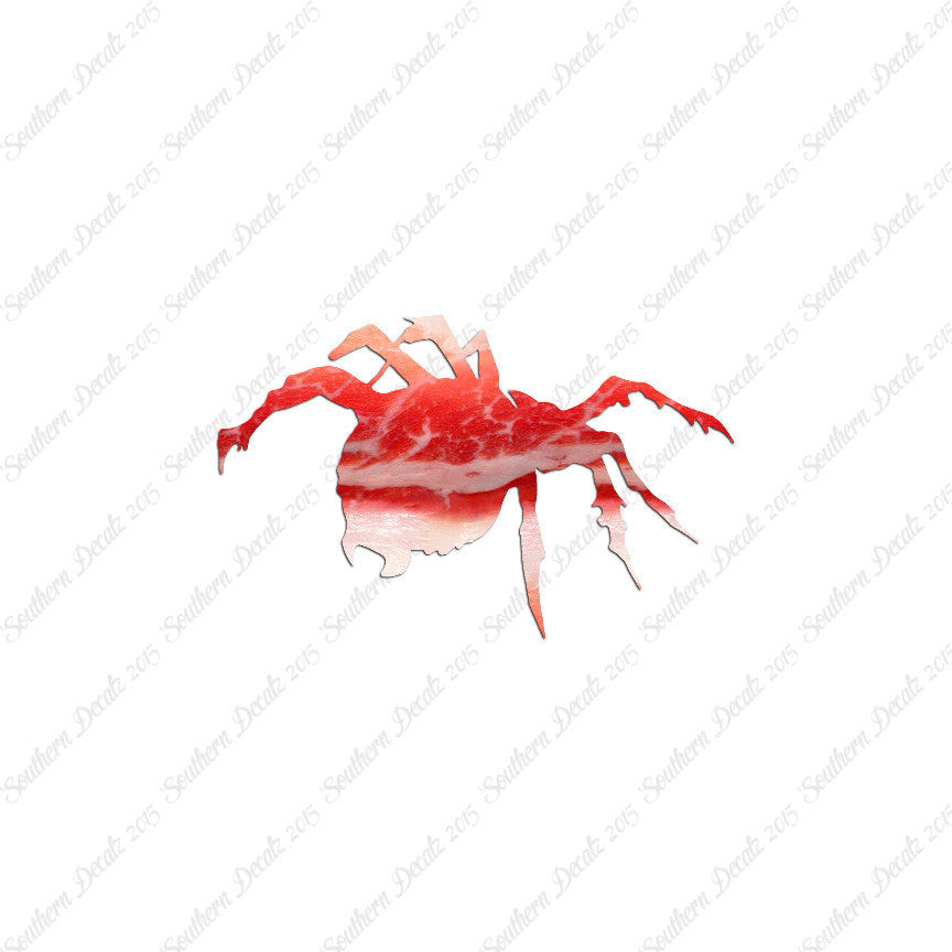 Tarantula Spider