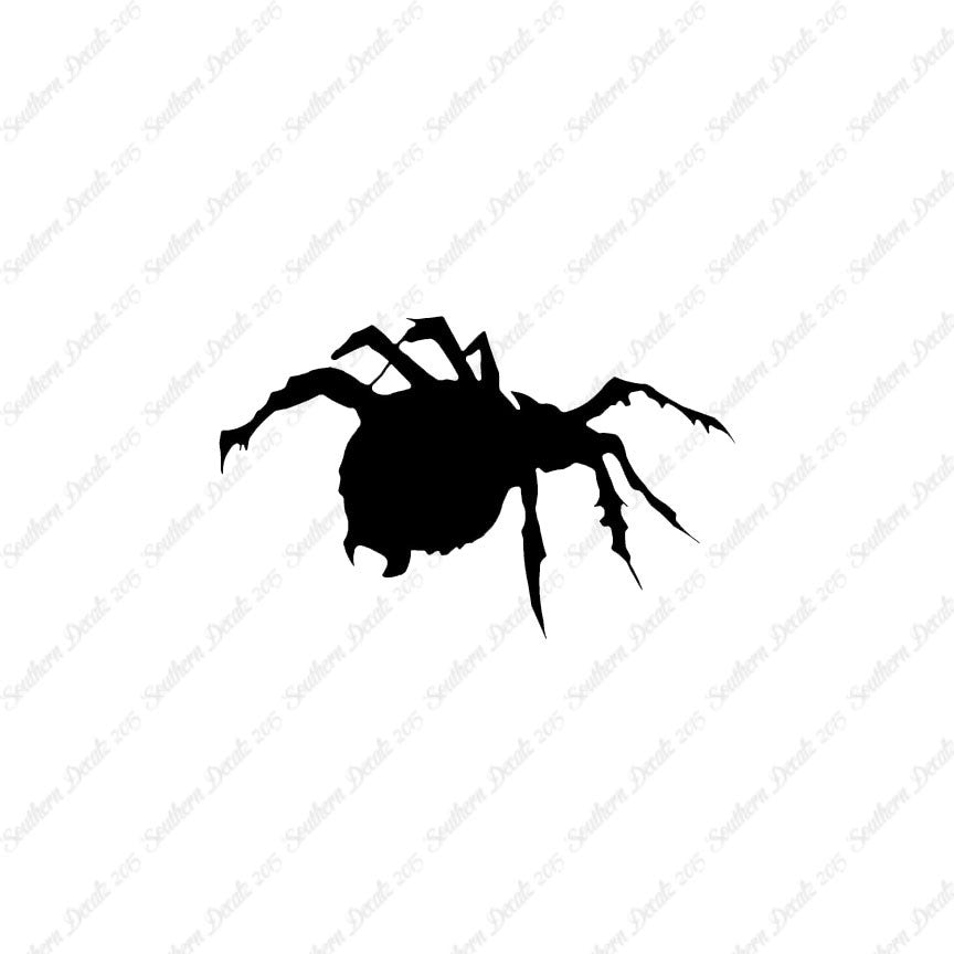 Tarantula Spider