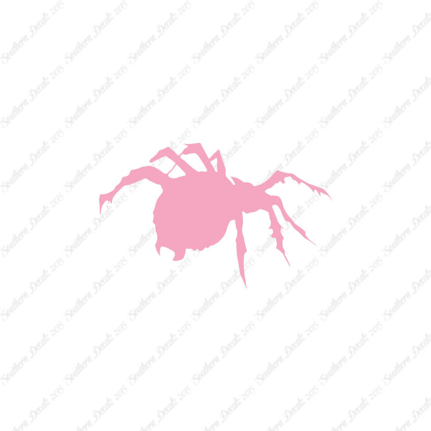 Tarantula Spider