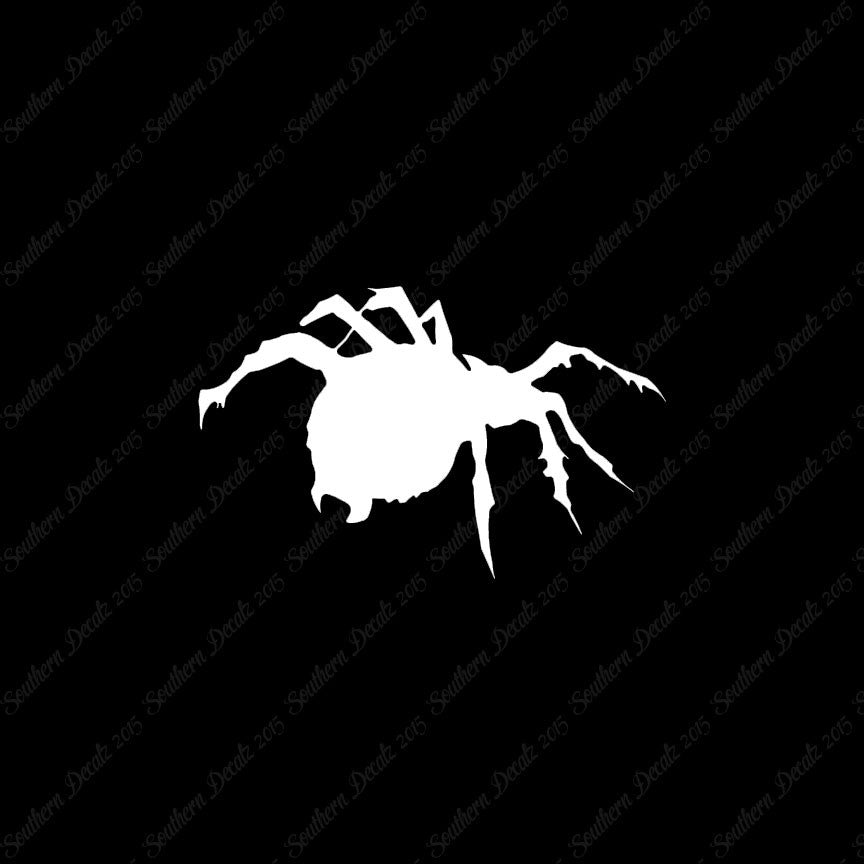 Tarantula Spider
