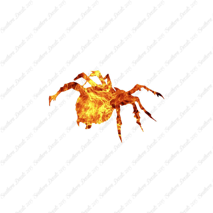 Tarantula Spider
