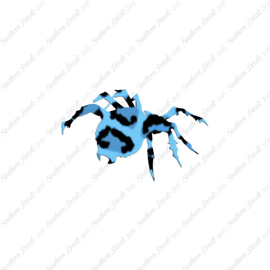 Tarantula Spider