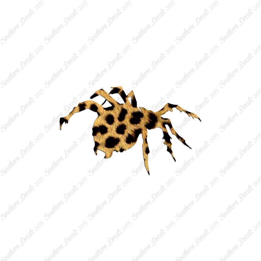 Tarantula Spider