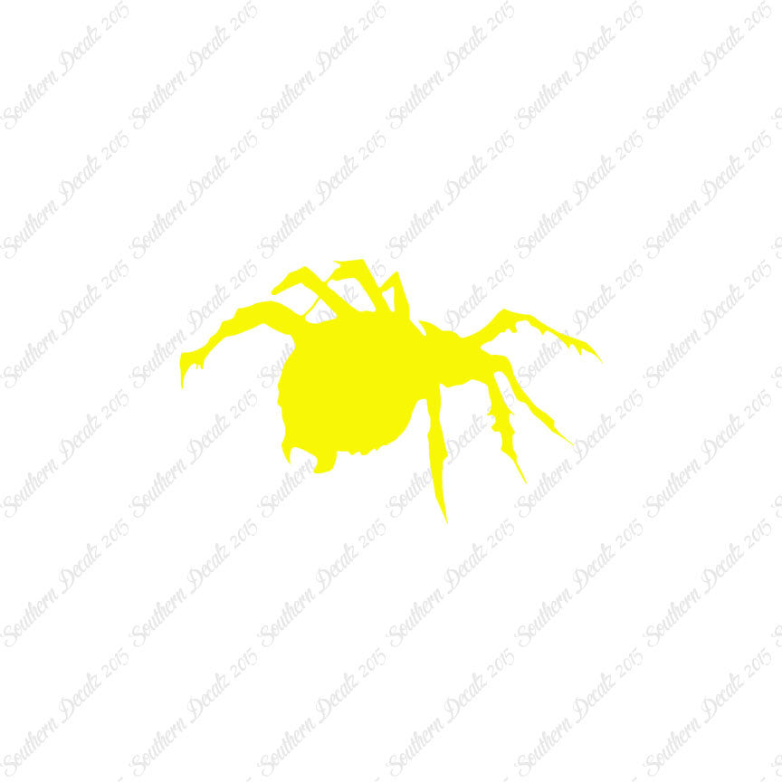 Tarantula Spider