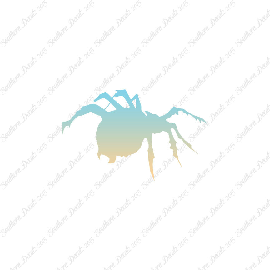 Tarantula Spider