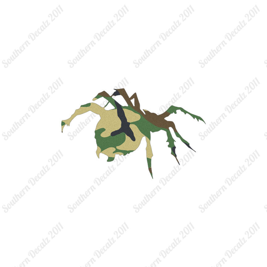 Tarantula Spider