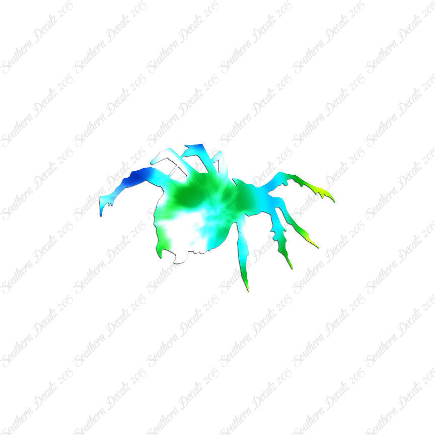 Tarantula Spider