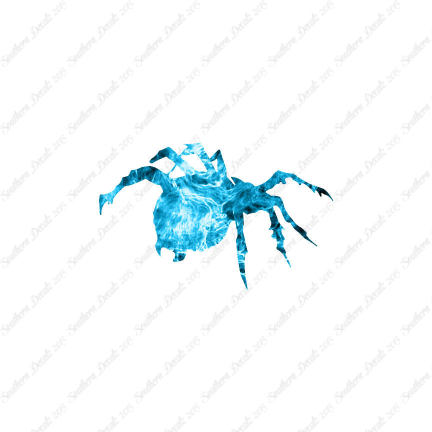 Tarantula Spider