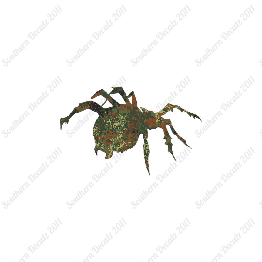 Tarantula Spider