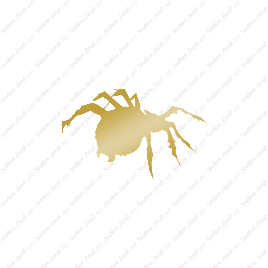 Tarantula Spider
