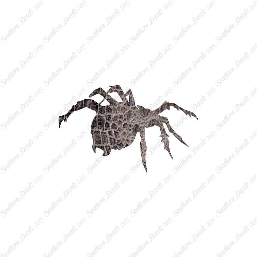 Tarantula Spider