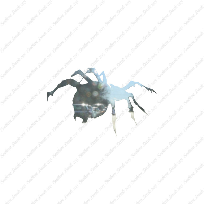 Tarantula Spider