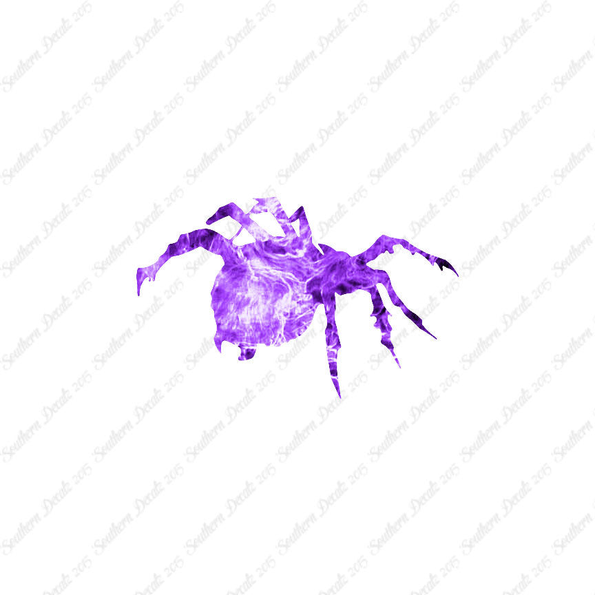 Tarantula Spider