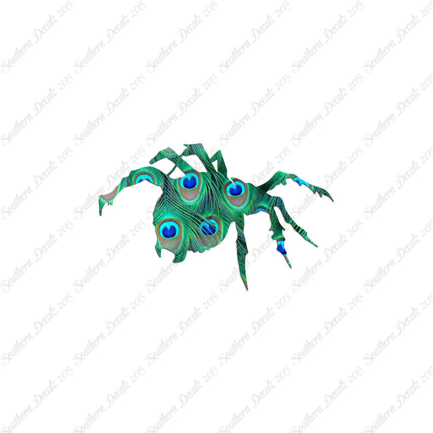 Tarantula Spider