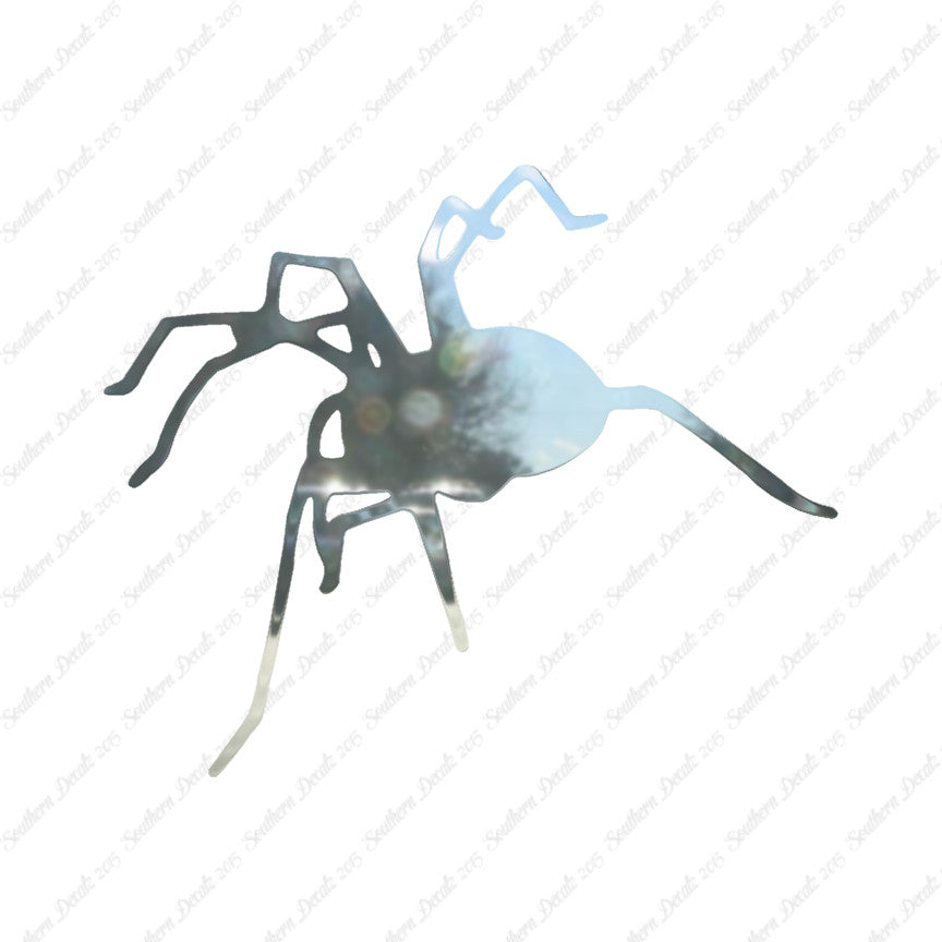 Spider Tarantula