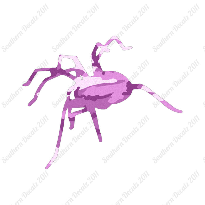 Spider Tarantula