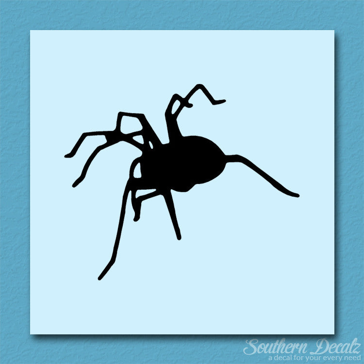 Spider Tarantula