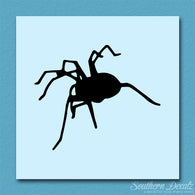 Spider Tarantula