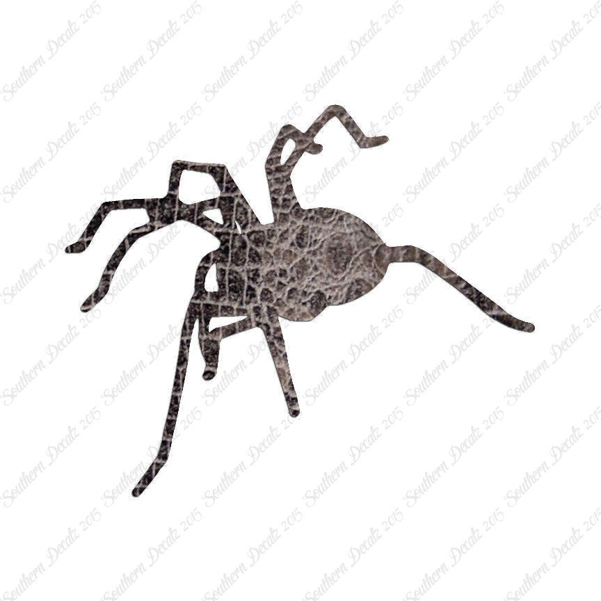 Spider Tarantula