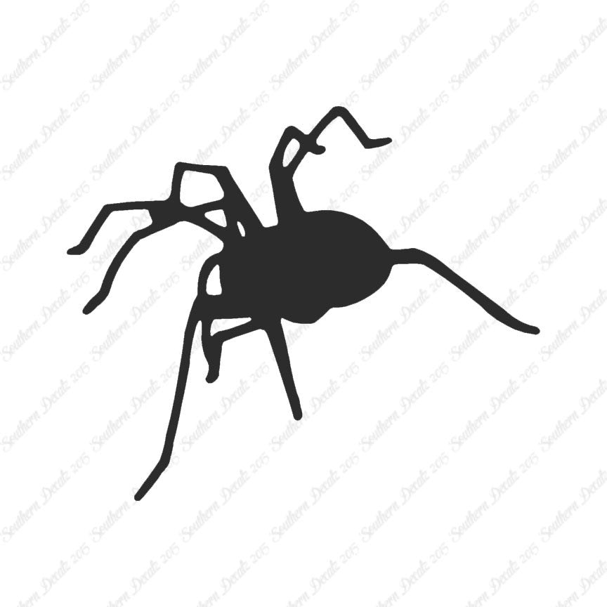Spider Tarantula
