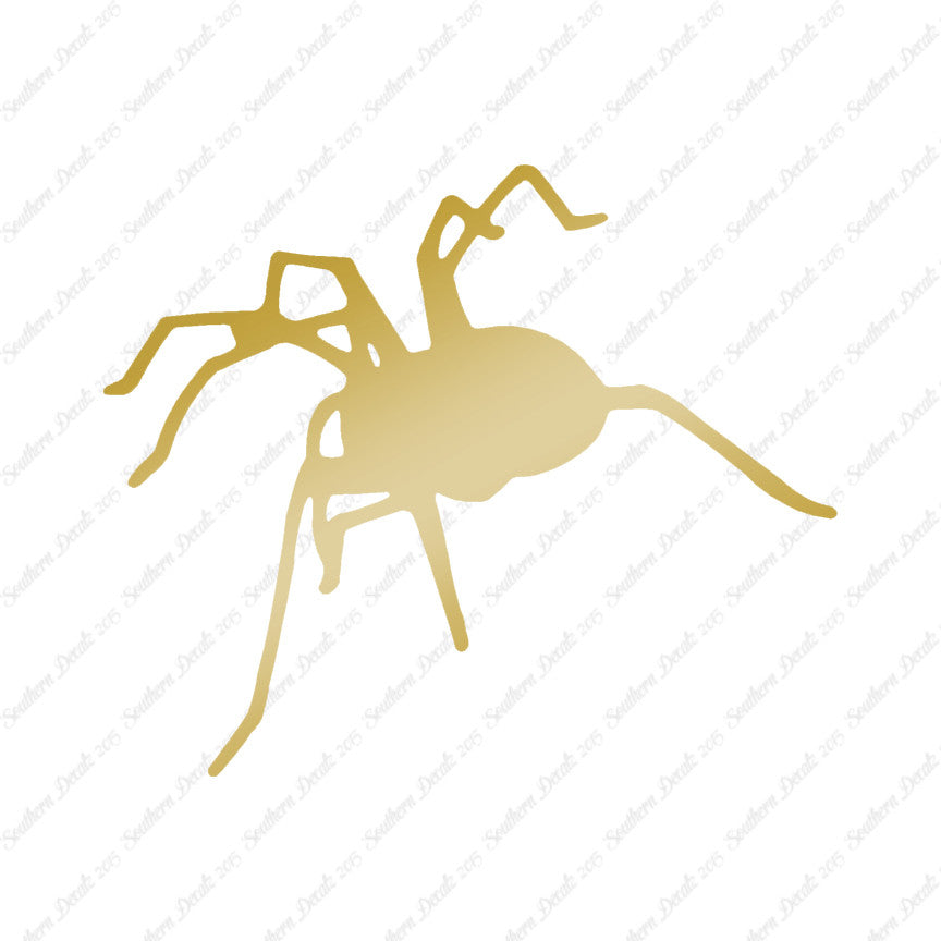 Spider Tarantula