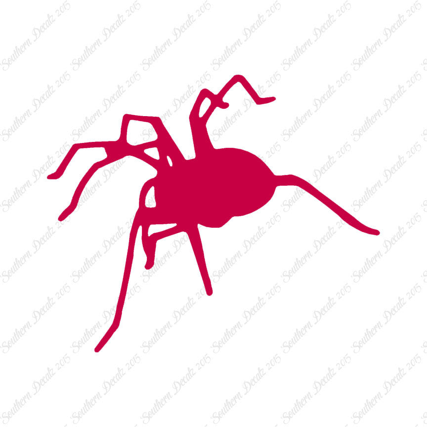 Spider Tarantula