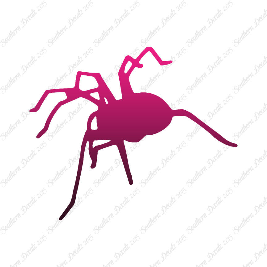 Spider Tarantula