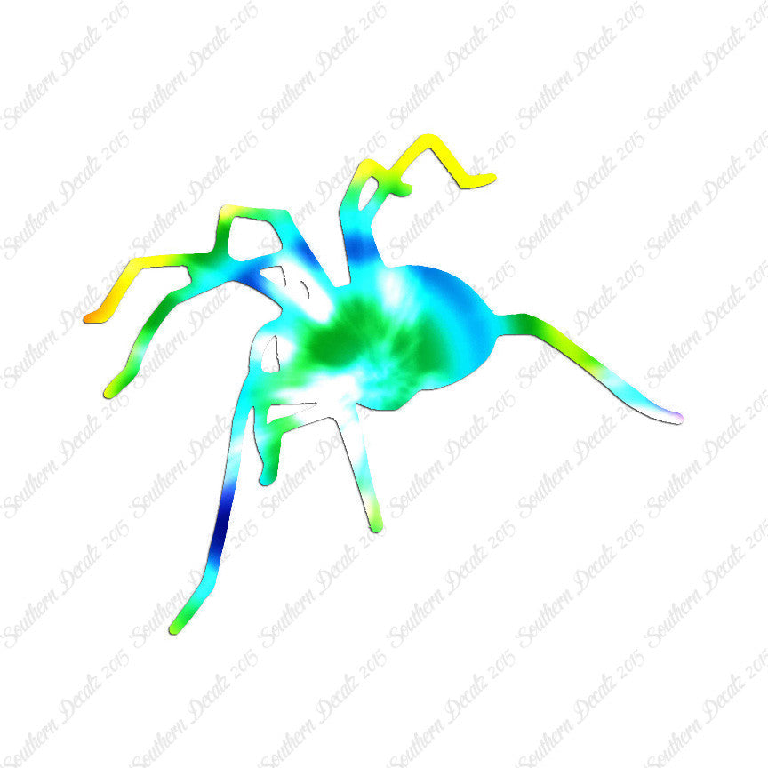 Spider Tarantula