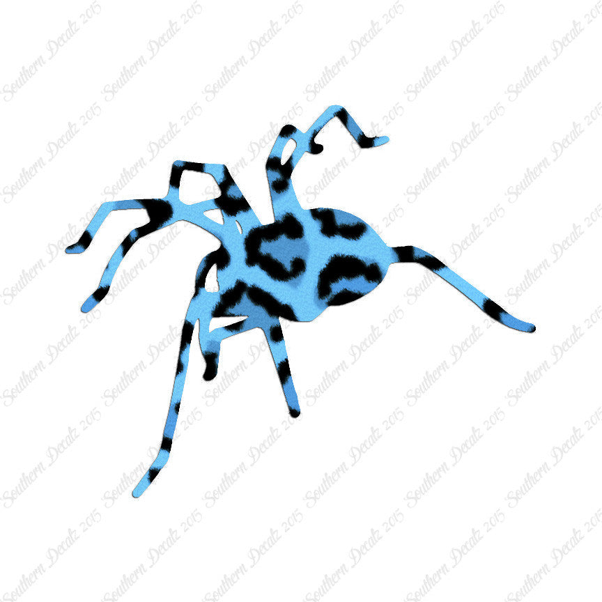 Spider Tarantula