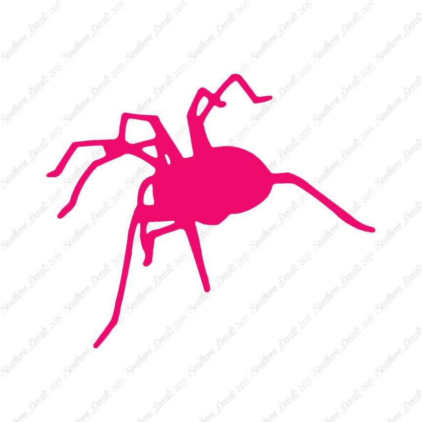 Spider Tarantula