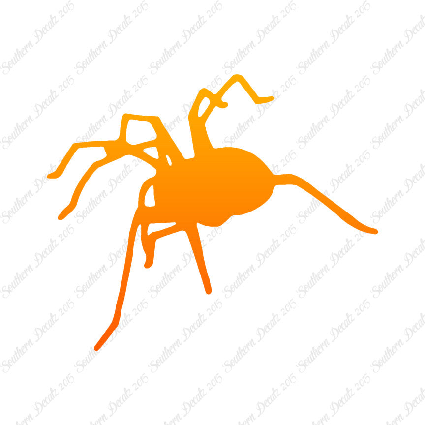Spider Tarantula