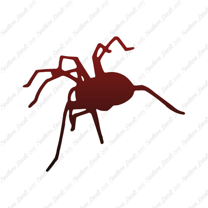 Spider Tarantula
