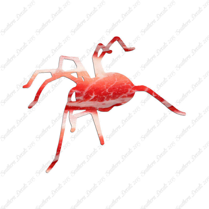 Spider Tarantula