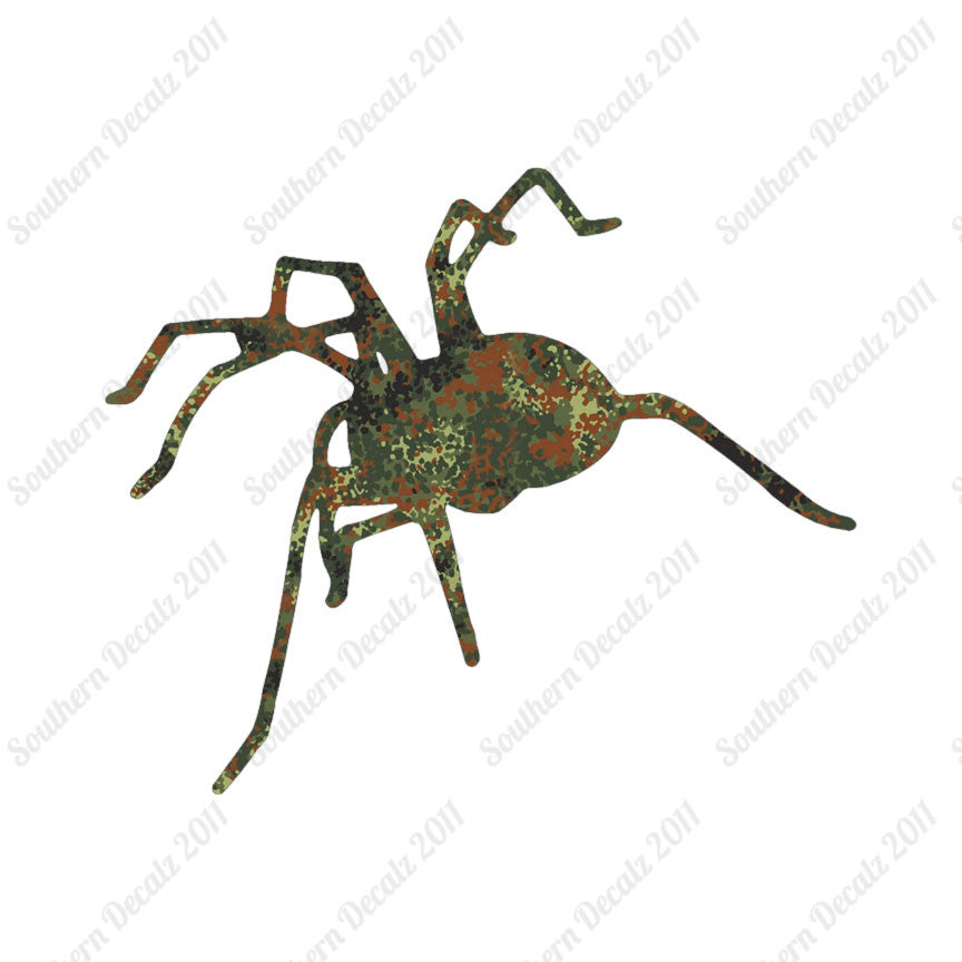 Spider Tarantula