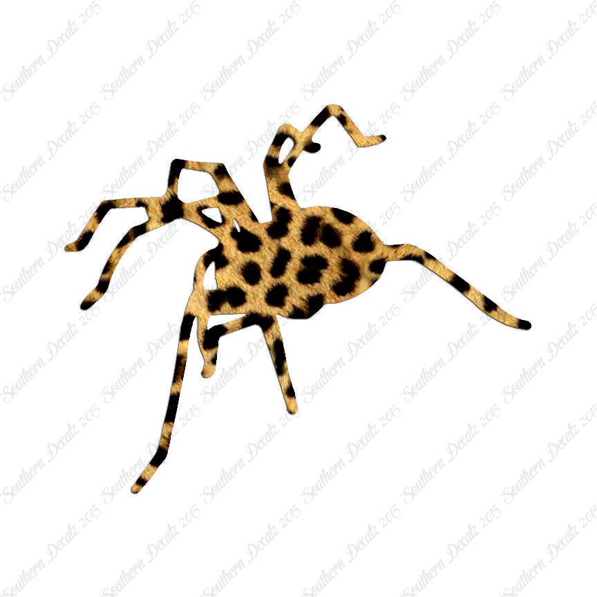 Spider Tarantula