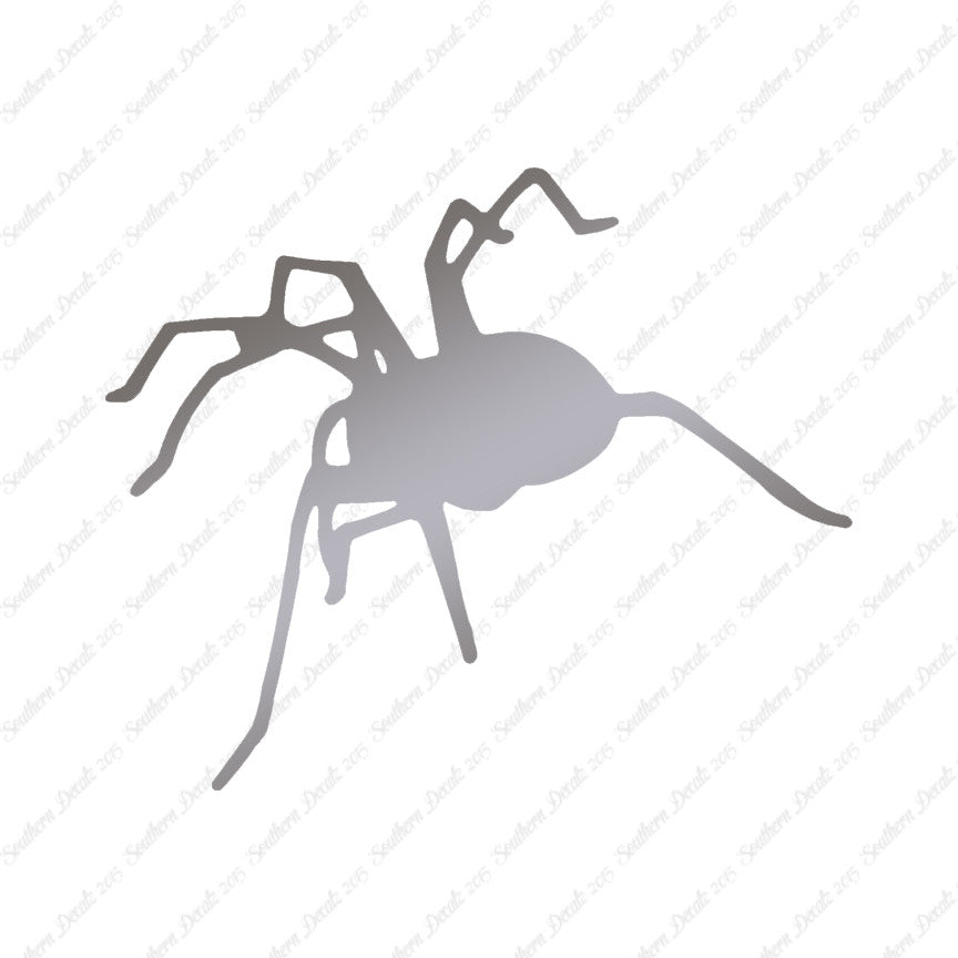 Spider Tarantula