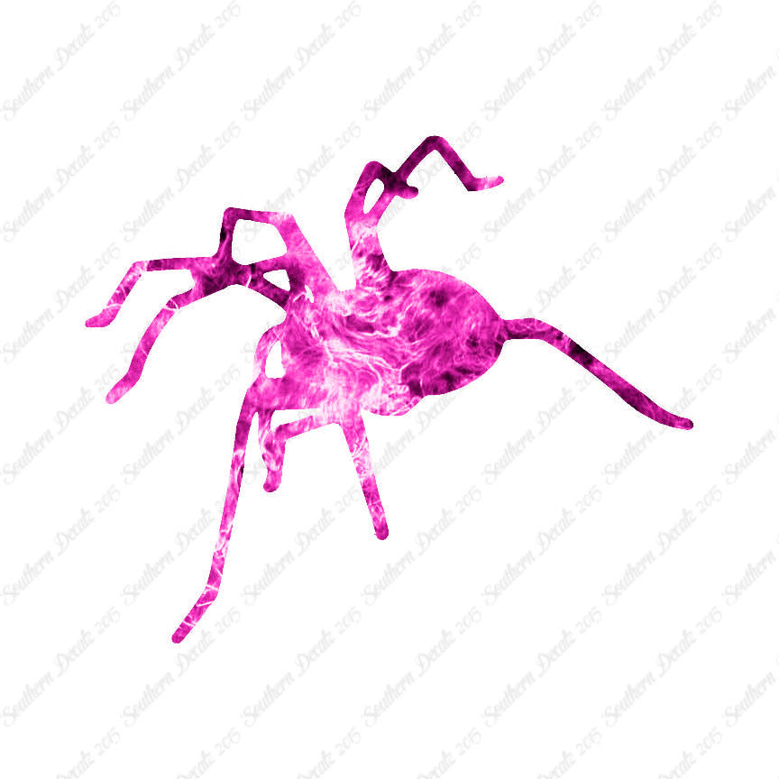 Spider Tarantula