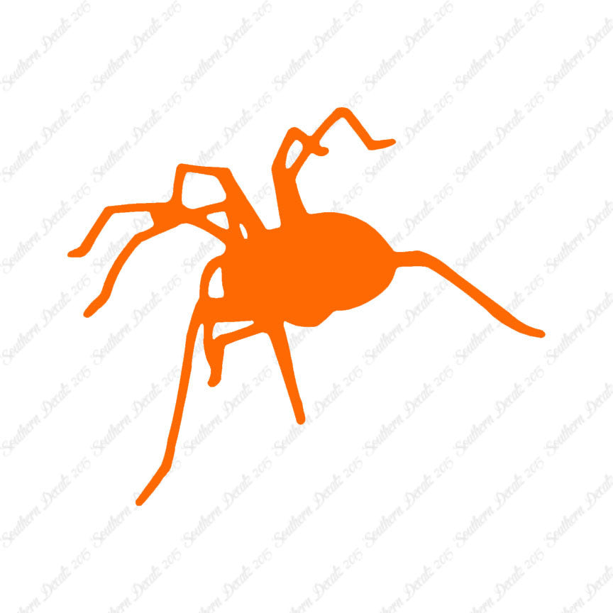 Spider Tarantula