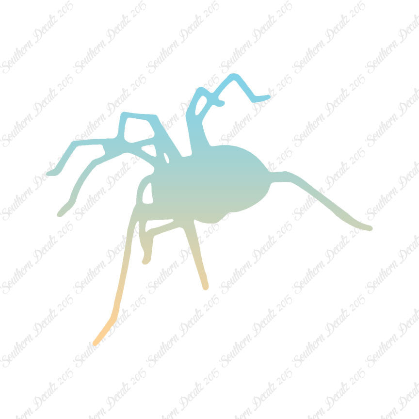 Spider Tarantula