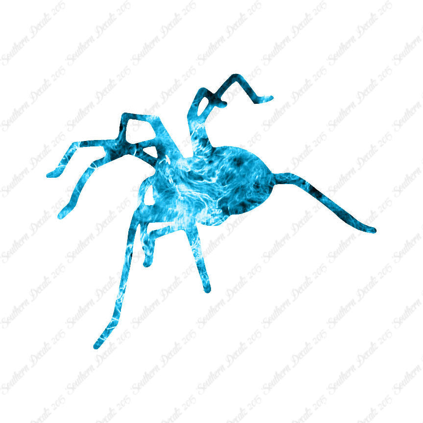 Spider Tarantula