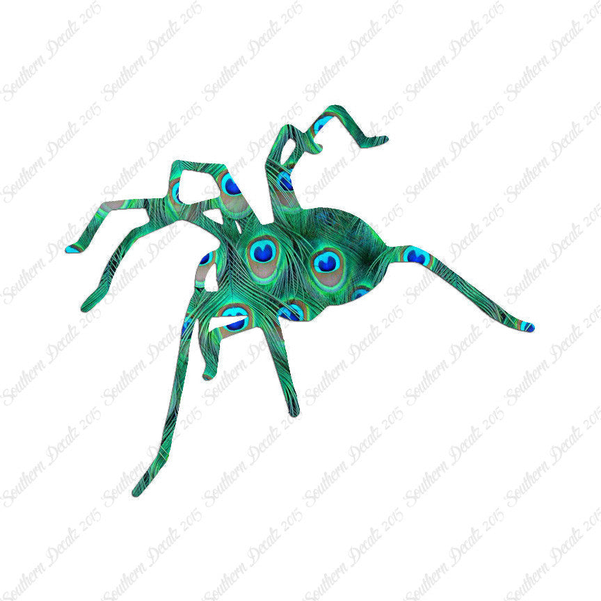 Spider Tarantula