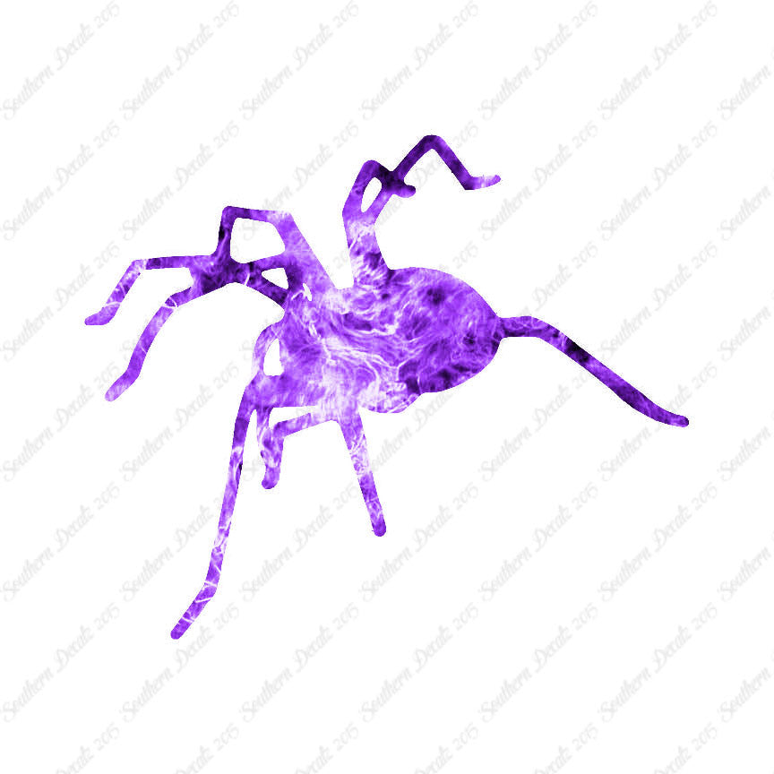 Spider Tarantula
