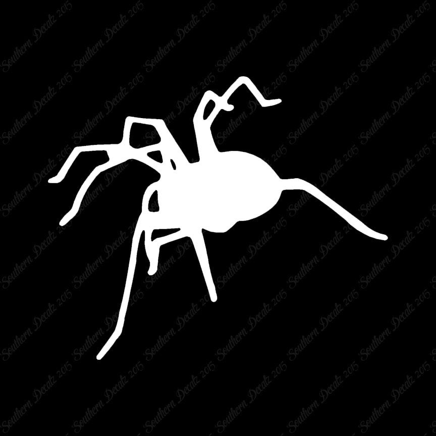 Spider Tarantula