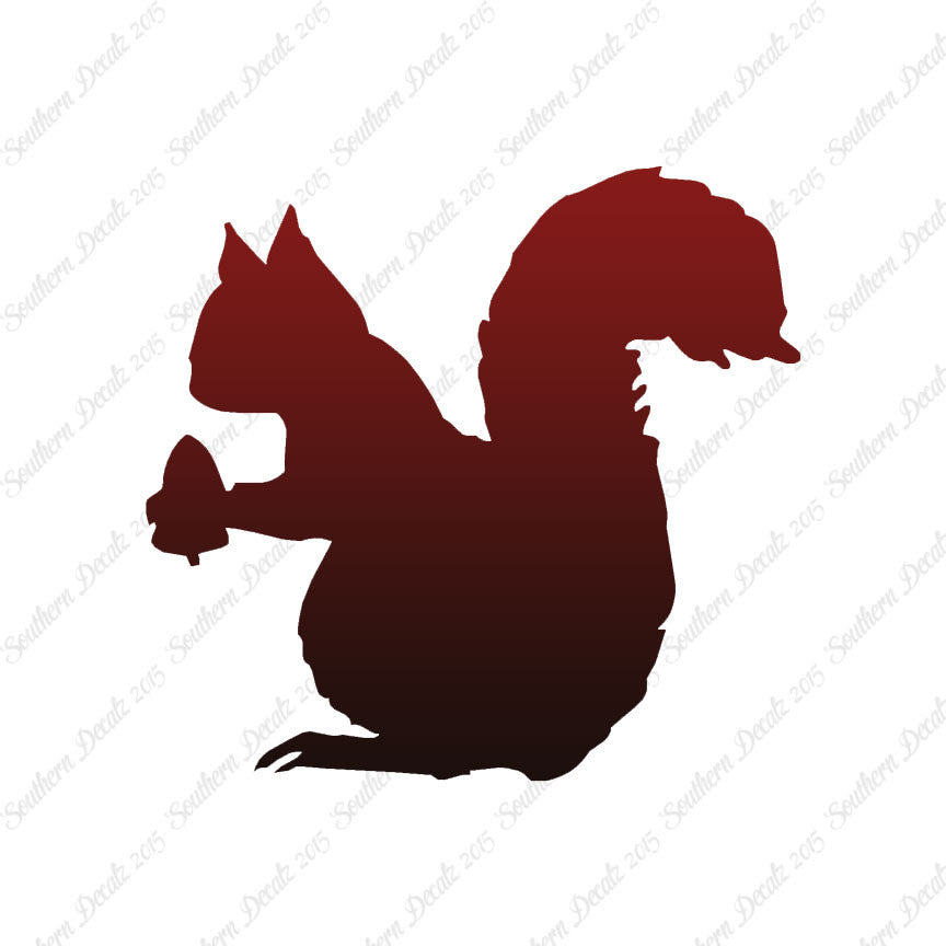 Eating Squirrel Acorn